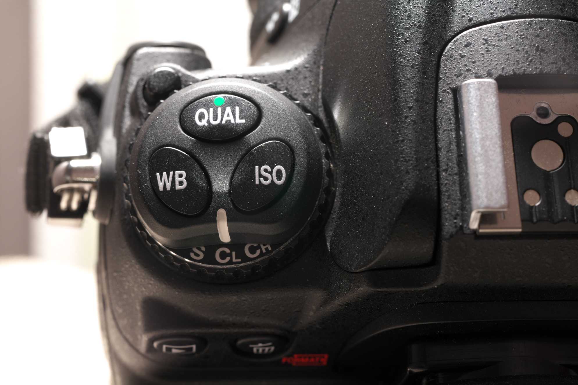 Nikon D300s賛歌(^^) | ロド丸のブログ - 楽天ブログ