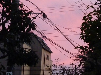 014-1.jpg