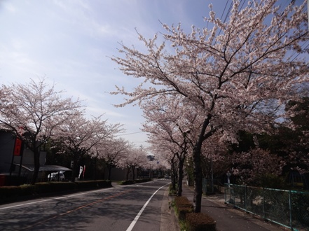 DSC00373.jpg