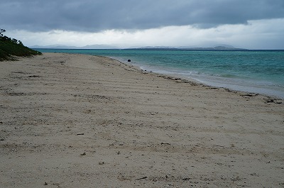DSC03162.jpg