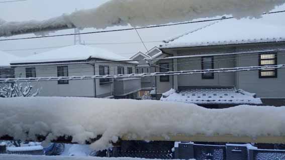 20180122_雪4.jpg