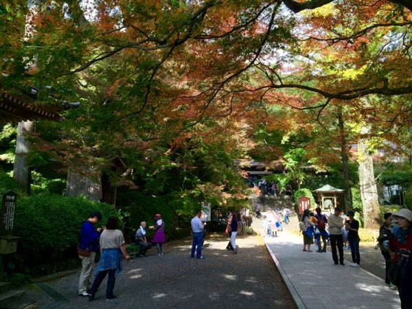 rblog-20151121185323-02.jpg