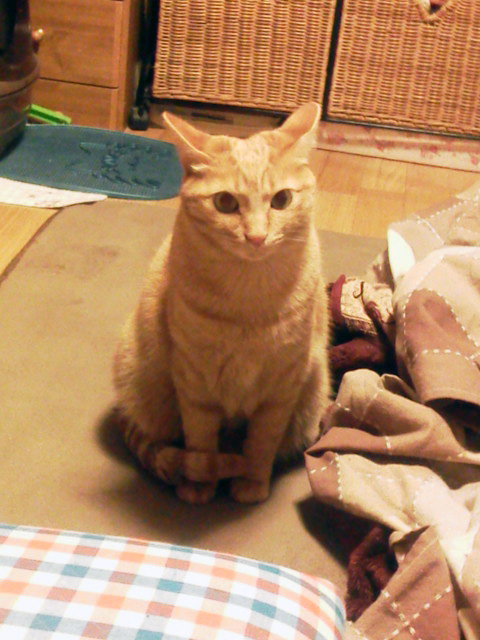 まるは健康優良児