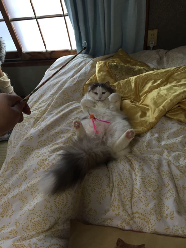 rblog-20160315091901-01.jpg