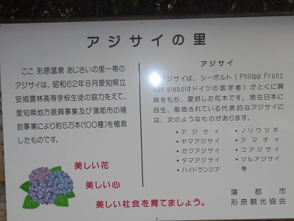 DSC00588.JPG