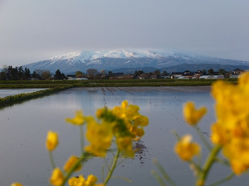 201305 鳥海山3