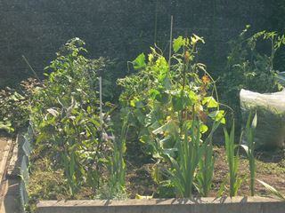 P1070785_R.JPG