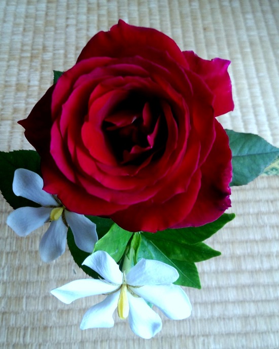 20130701_13355.jpg