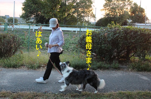 お義母さま