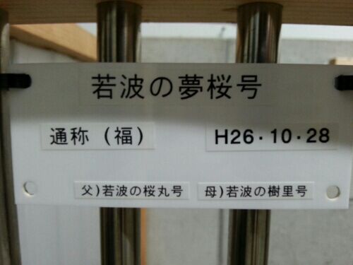 rblog-20160224112051-01.jpg