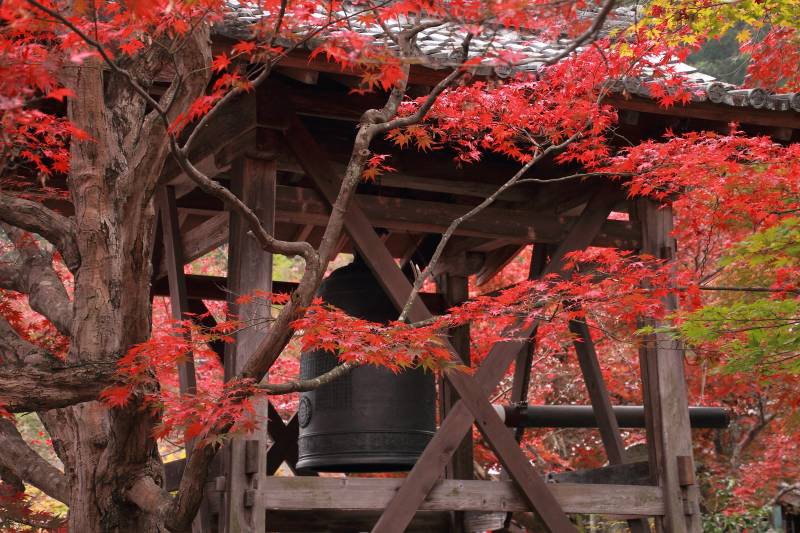 あだし野念仏寺_008鐘楼.jpg