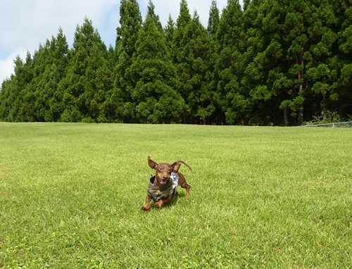 ヨダレが出ました