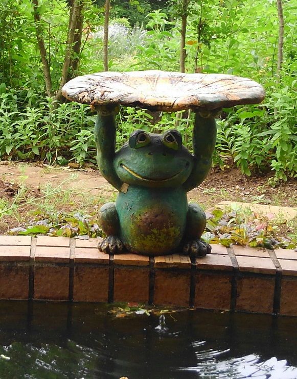 蛙の声が 地上初の発声する動物ケロ 60ばーばの手習い帳 楽天ブログ