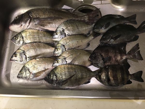 rblog-20180902192053-01.jpg