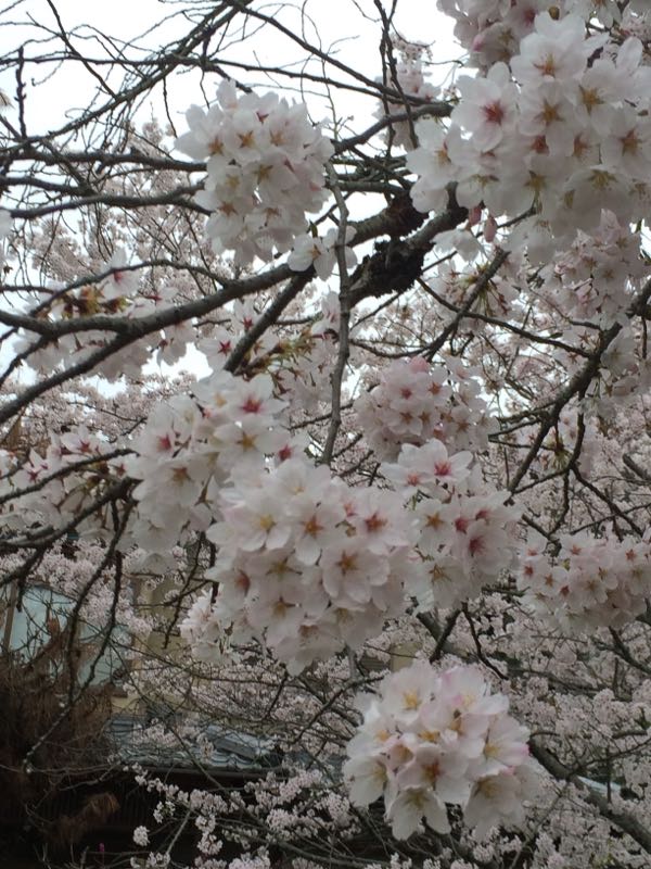 rblog-20150403202934-02.jpg