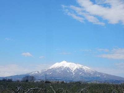 岩木板柳.JPG