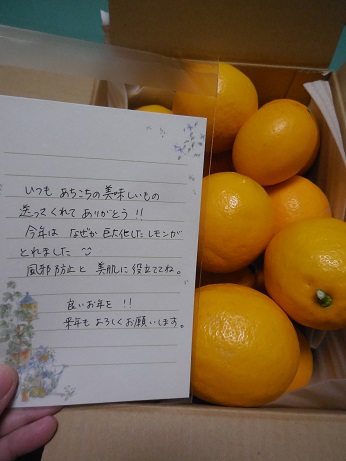 (松田)お恵さん送ってくれました2015.12.21 (2).JPG