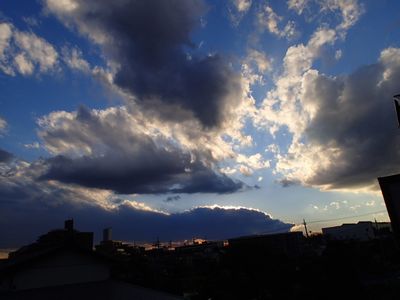 PC310011.JPG