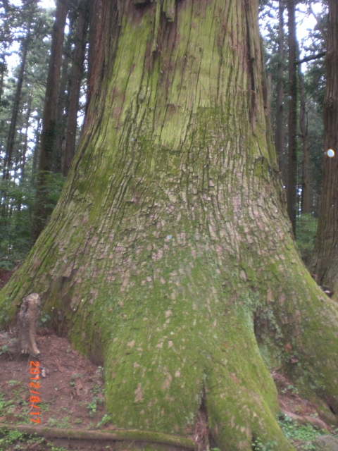 PICT0018.JPG