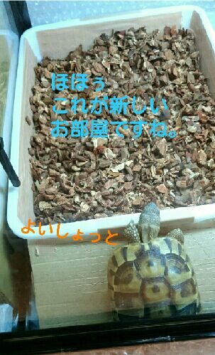 rblog-20151018093037-01.jpg