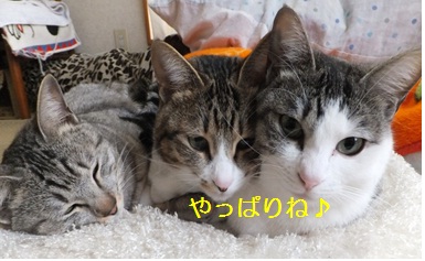 20120703_4.jpg