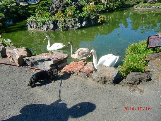 秋のシャボテン公園 003.jpg