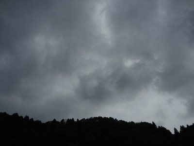 DSC01389-.jpg