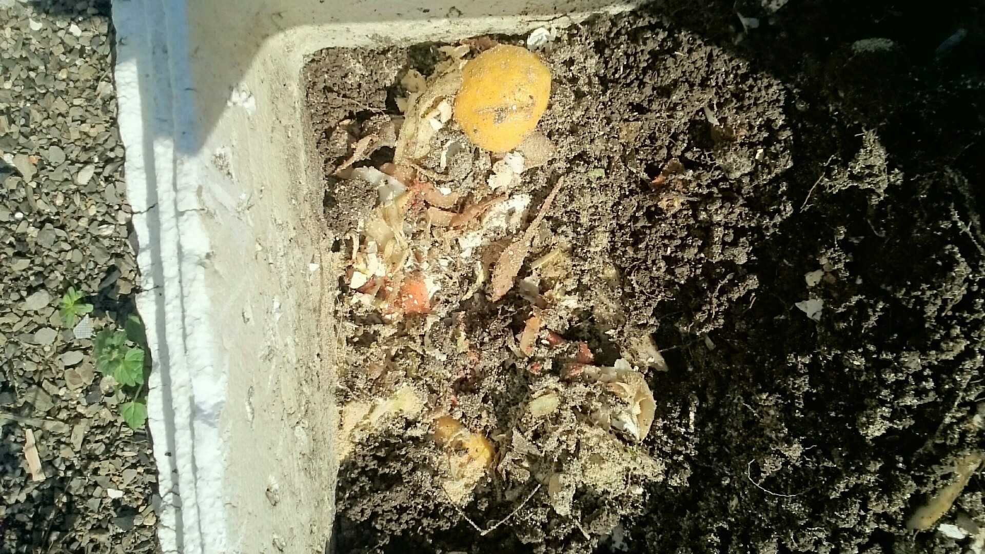 堆肥づくり 田舎暮らしのキッチンガーデン 楽天ブログ