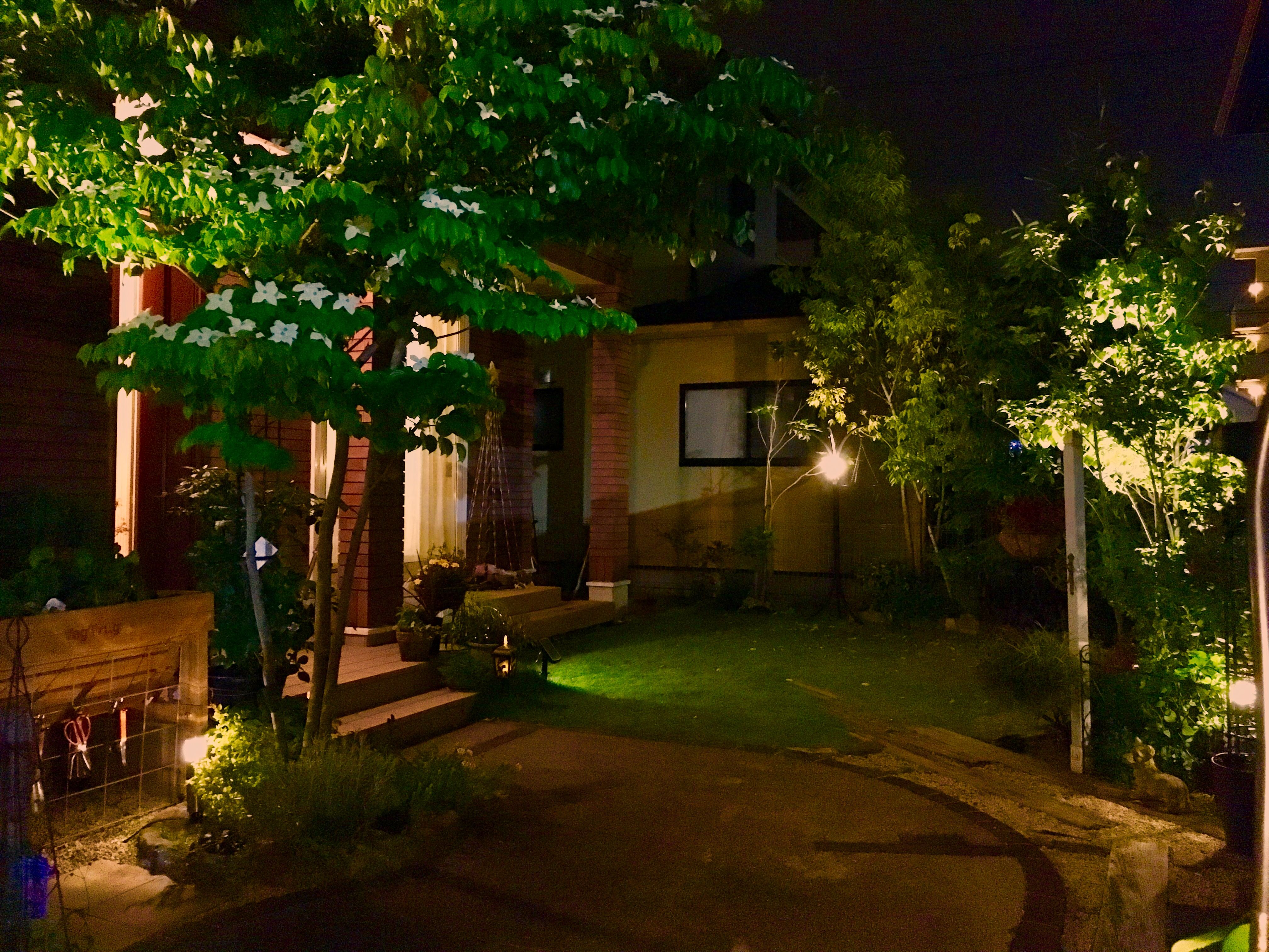 ガーデンライトで庭をライトアップしよう 6throom 庭での暮らしを楽しもう 楽天ブログ