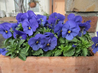 IMG_6382ss.jpg