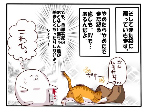 イメージカタログ 新しい 猫 おしり を 向ける