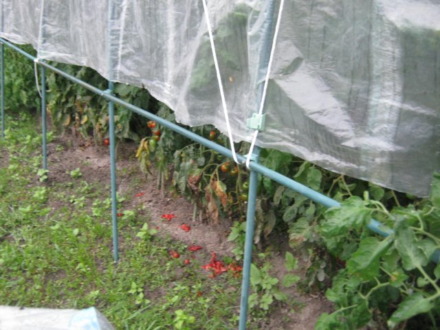 IMG_0004 (8).jpg