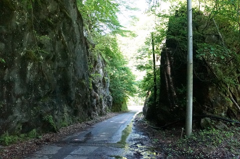 DSC08742.JPG