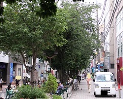 IMG_1770-16.jpg
