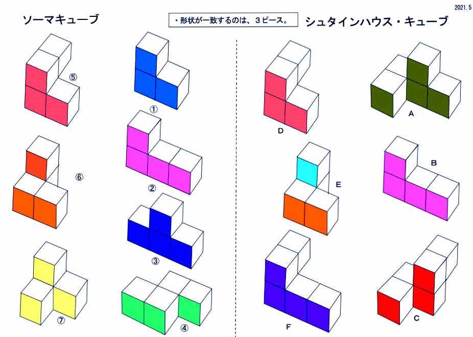 立方体パズル 〜シュタインハウスキューブ〜 【2022年製