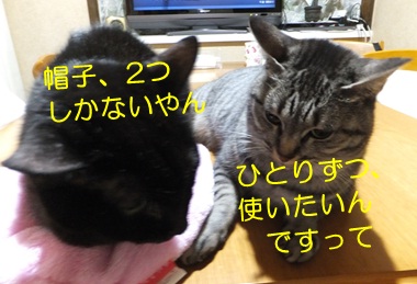 20121205_5.jpg