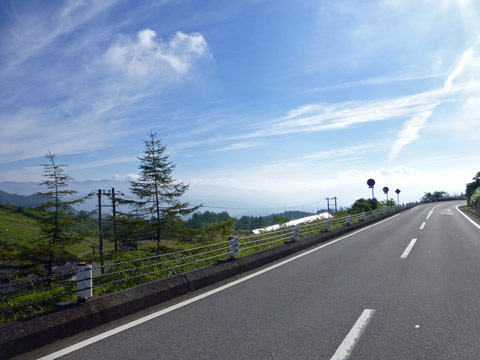 nobori.jpg