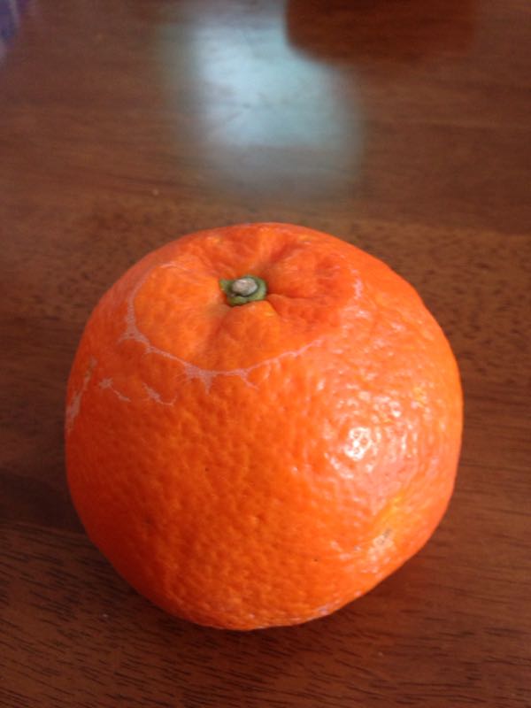 rblog-20150306113222-02.jpg