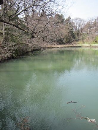 城８三の丸五色沼.jpg