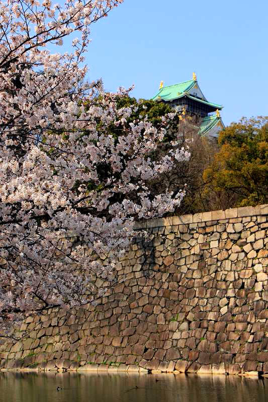 大阪城公園_4-3.jpg