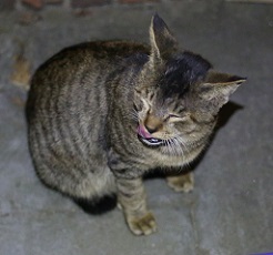 5DA_9107-10.jpg