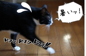 画像 192.jpg
