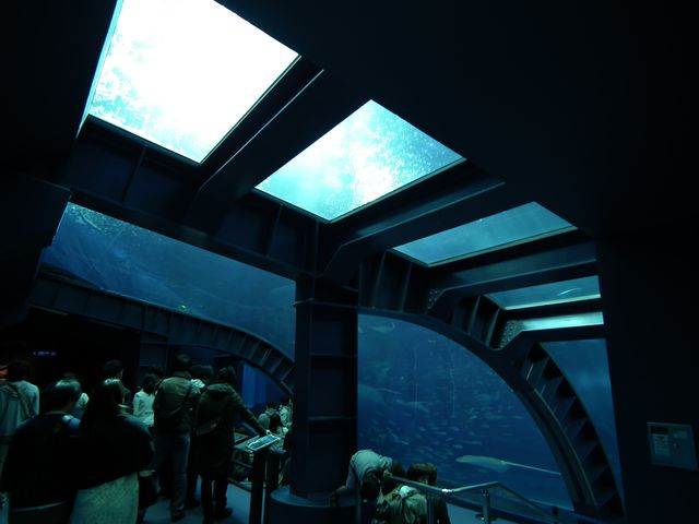 DSCF9251.JPG