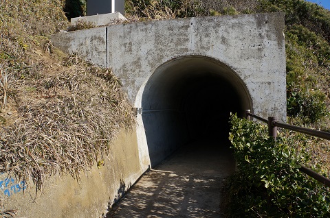 DSC05791.JPG