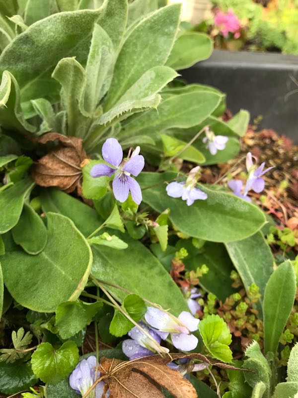 rblog-20190401164110-00.jpg