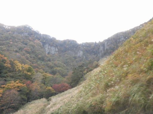 15.11.03紅葉７.JPG
