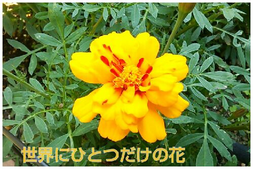 rblog-20160629063042-00.jpg