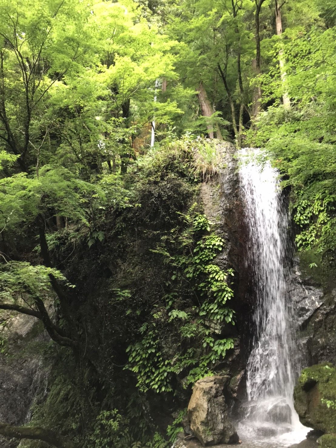 年7月17日 四国遍路 徳島 勝浦 星の岩屋 中津峰 足でつなぐ日本散歩旅 楽天ブログ