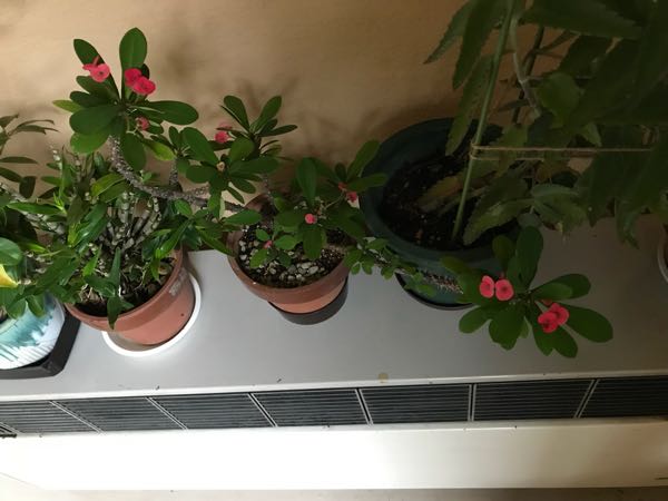 rblog-20181004070632-03.jpg