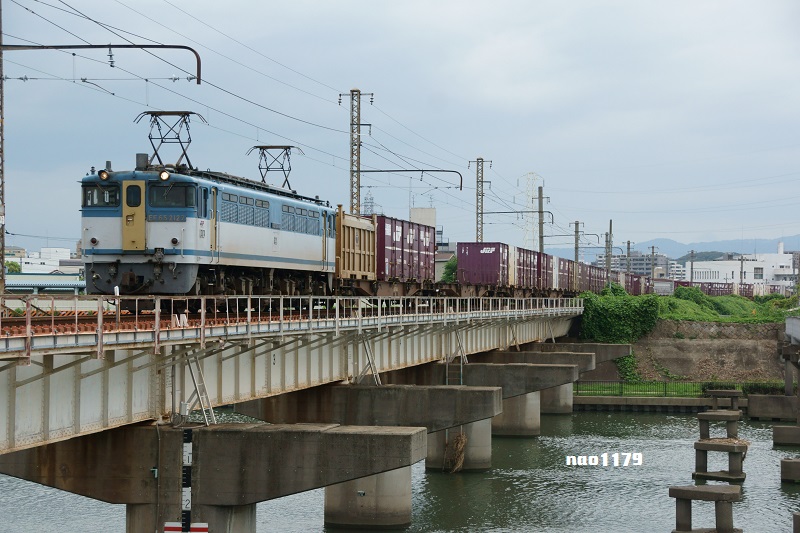 DSC_05837.jpg